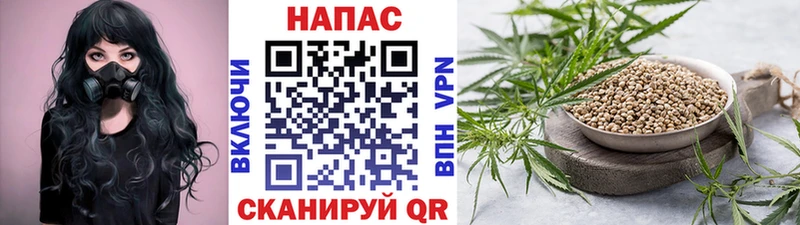 Где купить наркоту Нарткала Канабис  МЕФ  Псилоцибиновые грибы  ГАШИШ 