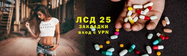 мдпв Богородицк