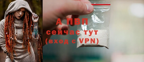 прущий лед Богданович