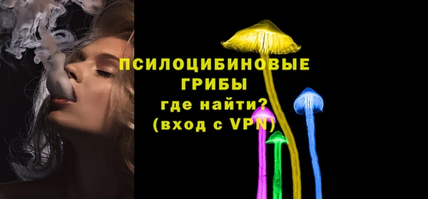 прущий лед Богданович