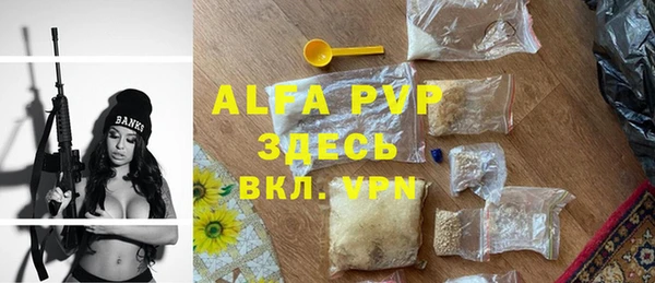 прущий лед Богданович