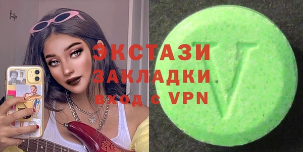 мдпв Богородицк