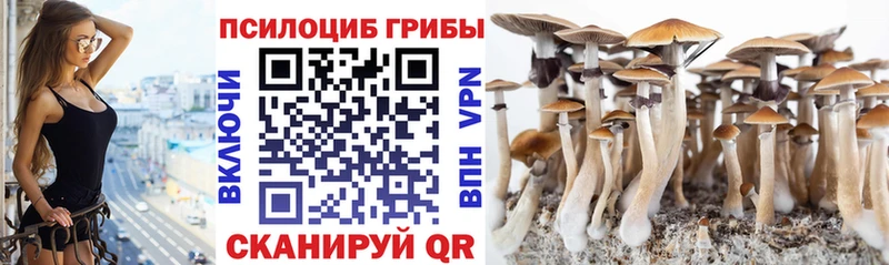 Галлюциногенные грибы мицелий  Нарткала 