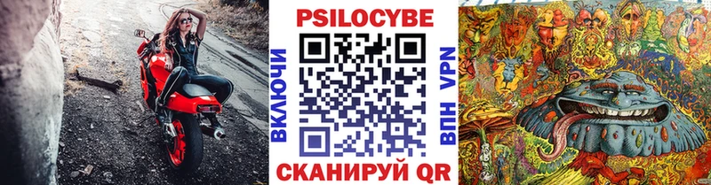 Псилоцибиновые грибы Cubensis Нарткала